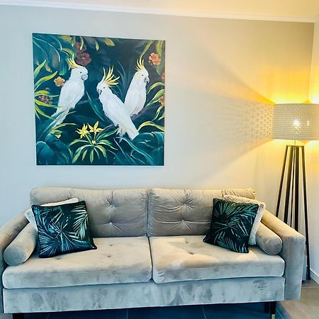 Appartement De Standing Proche Centre Ville Et Gare Μυλούζη Εξωτερικό φωτογραφία